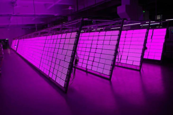P6 Outdoor SMD Full Color Led Displays And Led Billboards